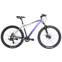 Elis 27.5"х17" фиолетовый
