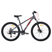 Tenet 26"х16" красный