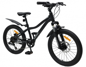 20" AVENGER C201D, черный/серебристый