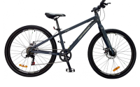26" Nameless J6000D, темно-серый, 13,5"