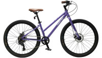 Timetry TT269 26" фиолетовый