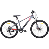 Sprint 26"х14" красный